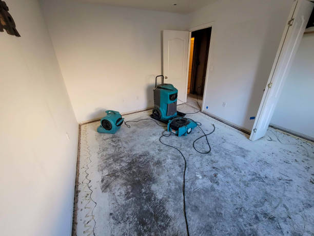 Best Local water damage restoration  in Jefferson, TX
