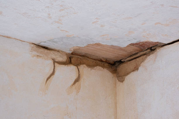 Best Flooded house restoration  in Jefferson, TX