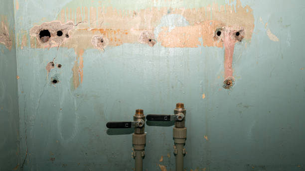 Best Mold removal after water damage  in Jefferson, TX
